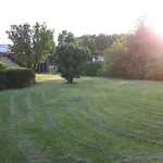 L'horizon *